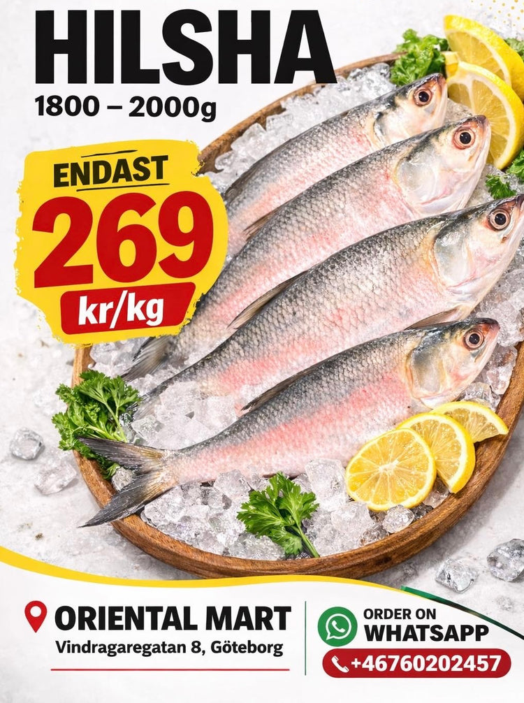 Fish
