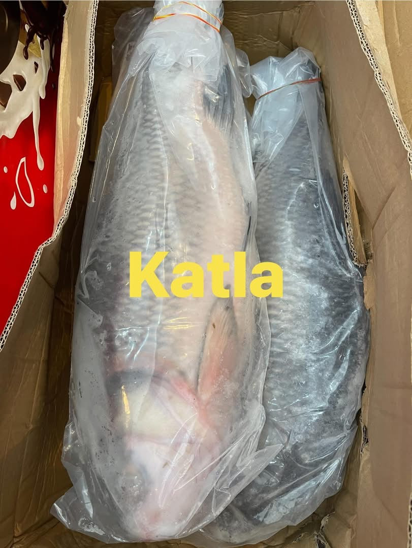 Katlafisk skuren 5 kg (i små bitar)+++