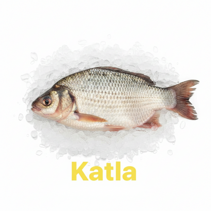 Katlafisk skuren 5 kg (i små bitar)+++