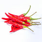 Red chilli 5kg