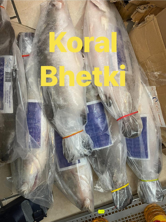 Koral / bhetki / asiatisk havsabborre 2.5 kg +++