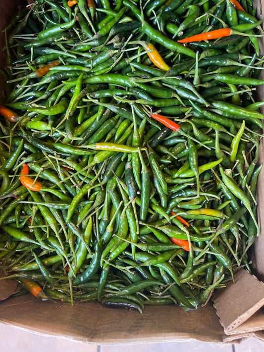 Grön chili 500G